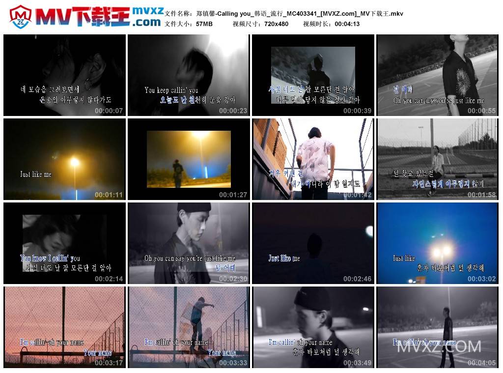 郑镇馨-Calling you_韩语_流行_MC403341